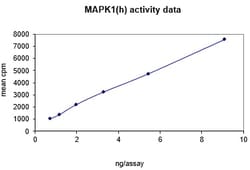 Eurofins DiscoverX MAP Kinase 1/Erk1 Protein, Active 250 &mu;g | Buy Online | Eurofins DiscoverX | Fisher Scientific